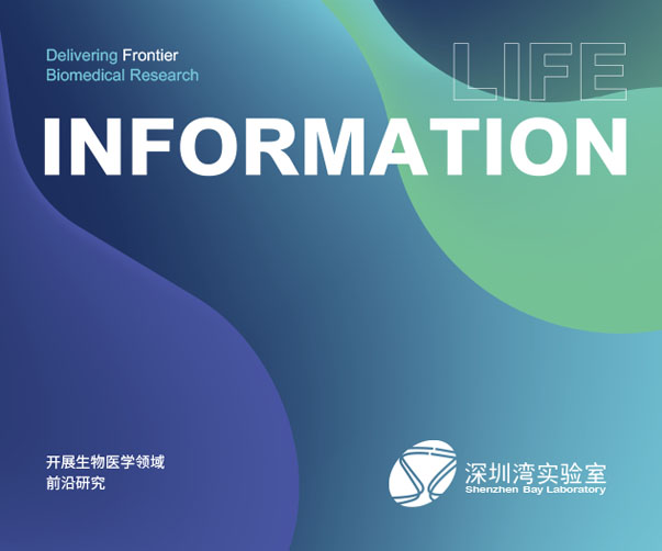 太倉VI設計_成就您的品牌形象